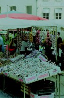 /album/fotos-europa/beaune-5-small-jpg/